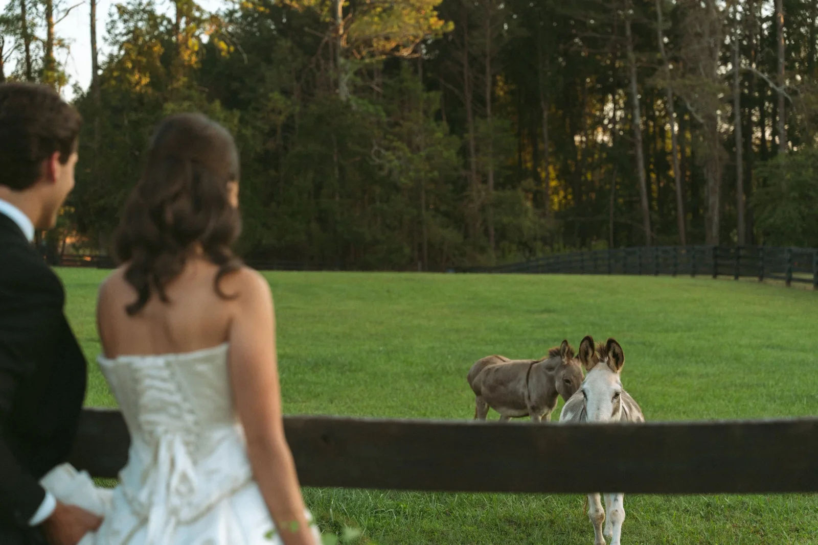 Bread and Butter wedding story photo 75