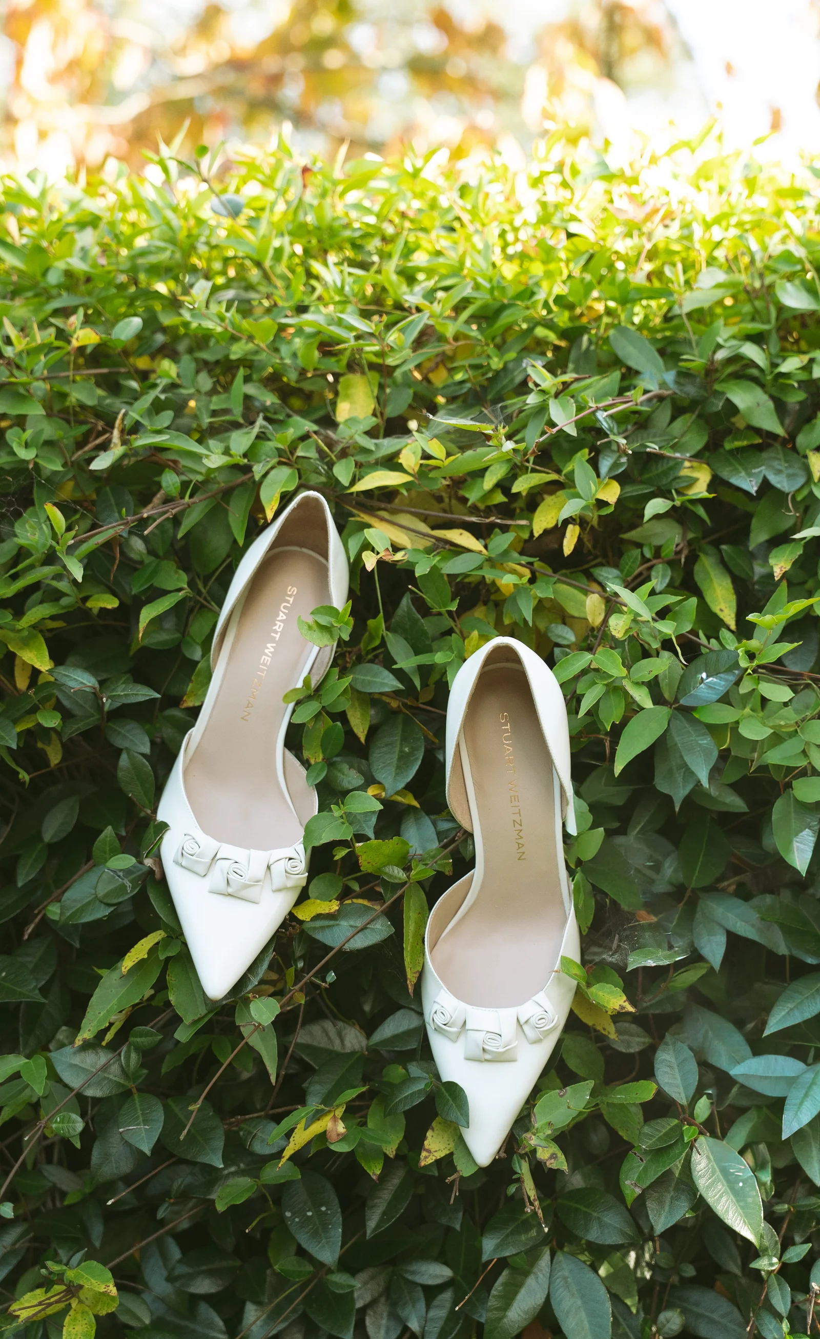 Bread and Butter wedding story photo 12