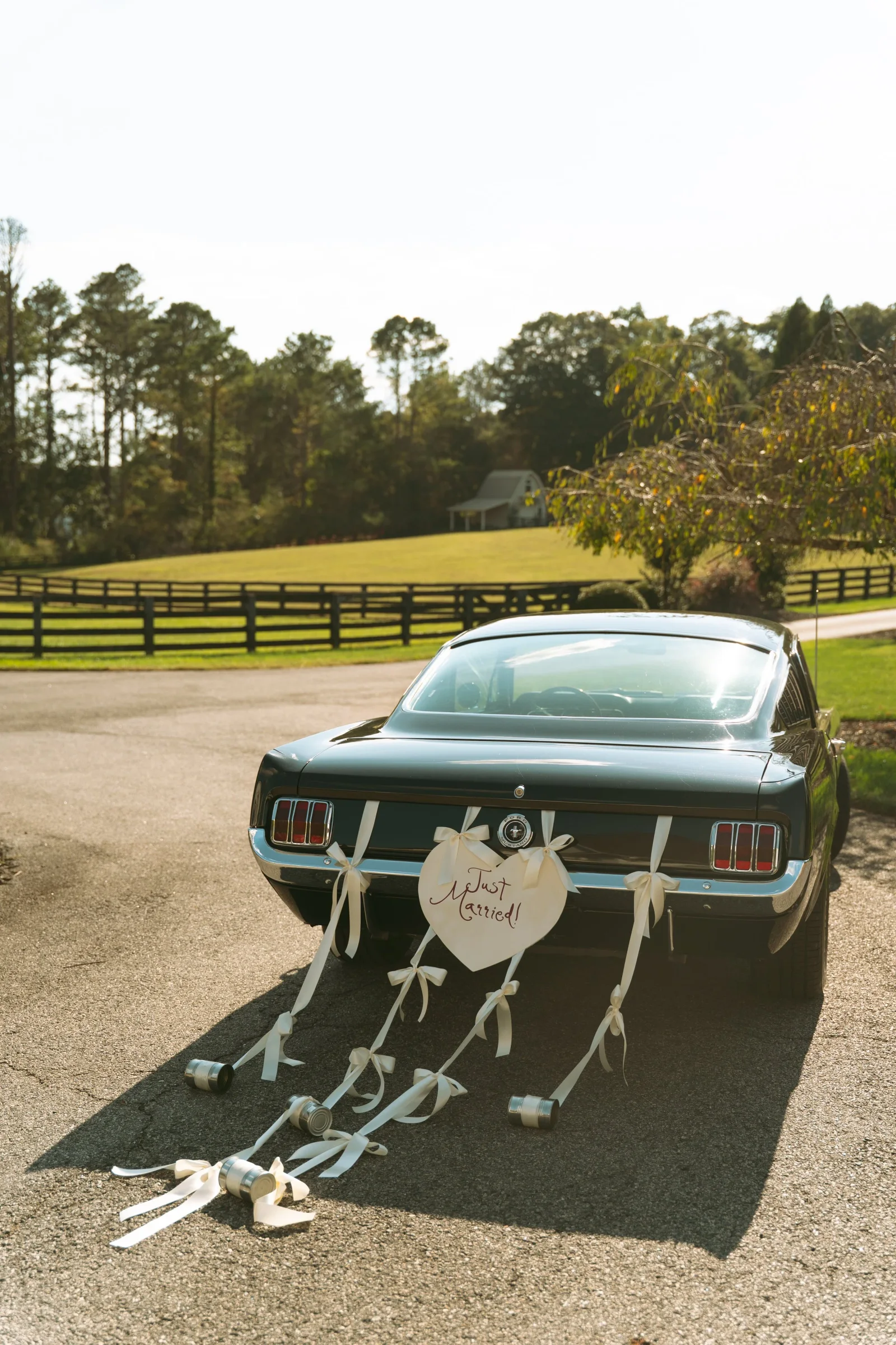 Bread and Butter wedding story photo 11