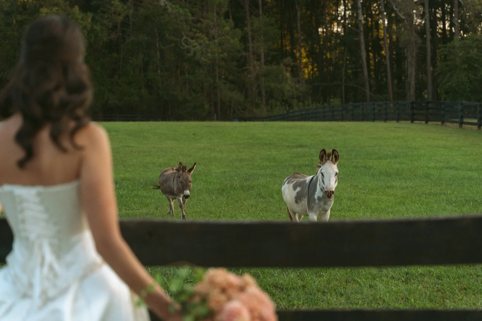 Bread and Butter wedding story photo 76